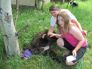 Amy Kidwell & daughter Emma say goodbye to Shadow