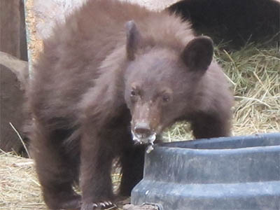 one look around and back to chomping down on the food