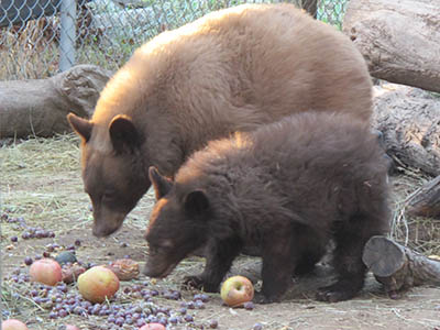 sharing lunch